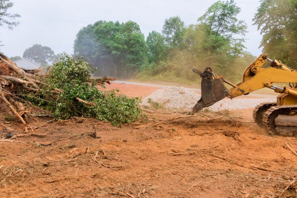 Ground Clearing in Nicholasville