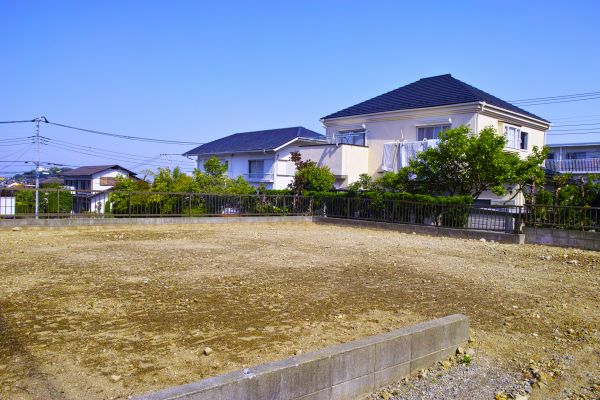 Cost of Lot Clearing Service in Nicholasville