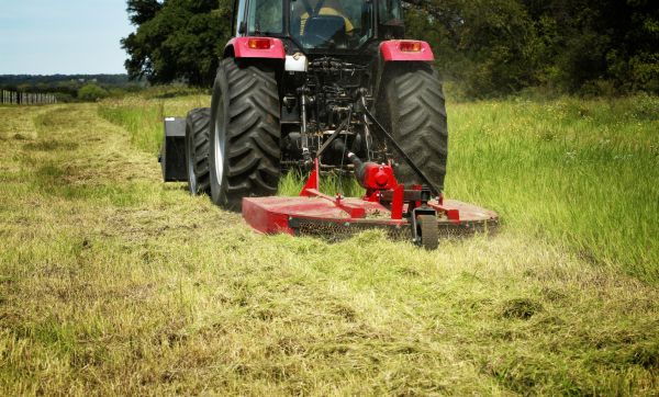 Brush Clearing Service in Nicholasville