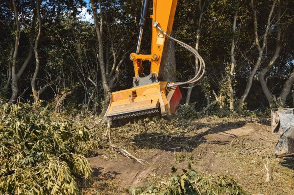 Brush Removal Service in Nicholasville