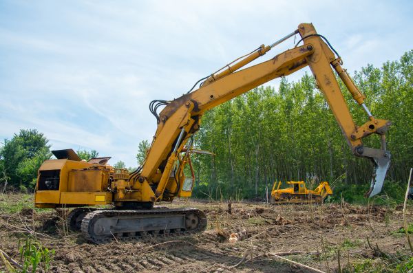 Cost of Farm Clearing in Nicholasville