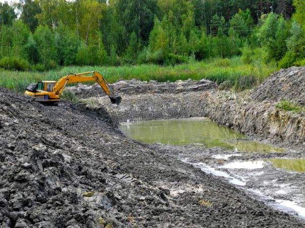 Cost of Lake Lot Clearing in Nicholasville