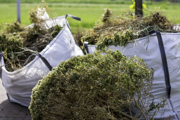 Cost of Bushes Clearing in Nicholasville