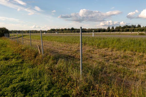 Cost of Property Line Clearing in Nicholasville