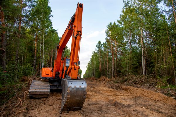 Cost of Backhoe Land Clearing in Nicholasville