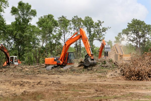 Cost of Commercial Lot Clearing in Nicholasville