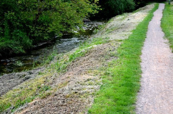 Cost of Trail Cutting in Nicholasville