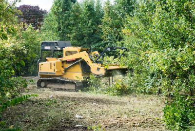 Spring Land Clearing